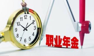 职业年金是什么意思