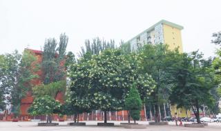 忻州师范学院怎么样